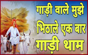 गाड़ी वाले मने बिठाले भजन लिरिक्स